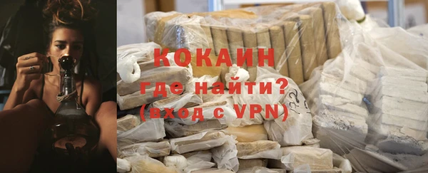 PSILOCYBIN Дмитриев