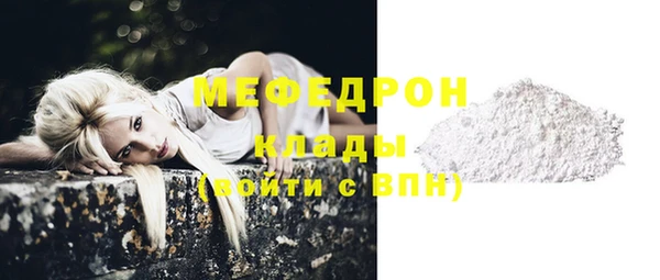 PSILOCYBIN Дмитриев