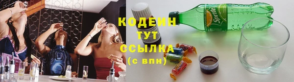 PSILOCYBIN Дмитриев