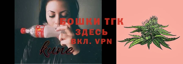 PSILOCYBIN Дмитриев